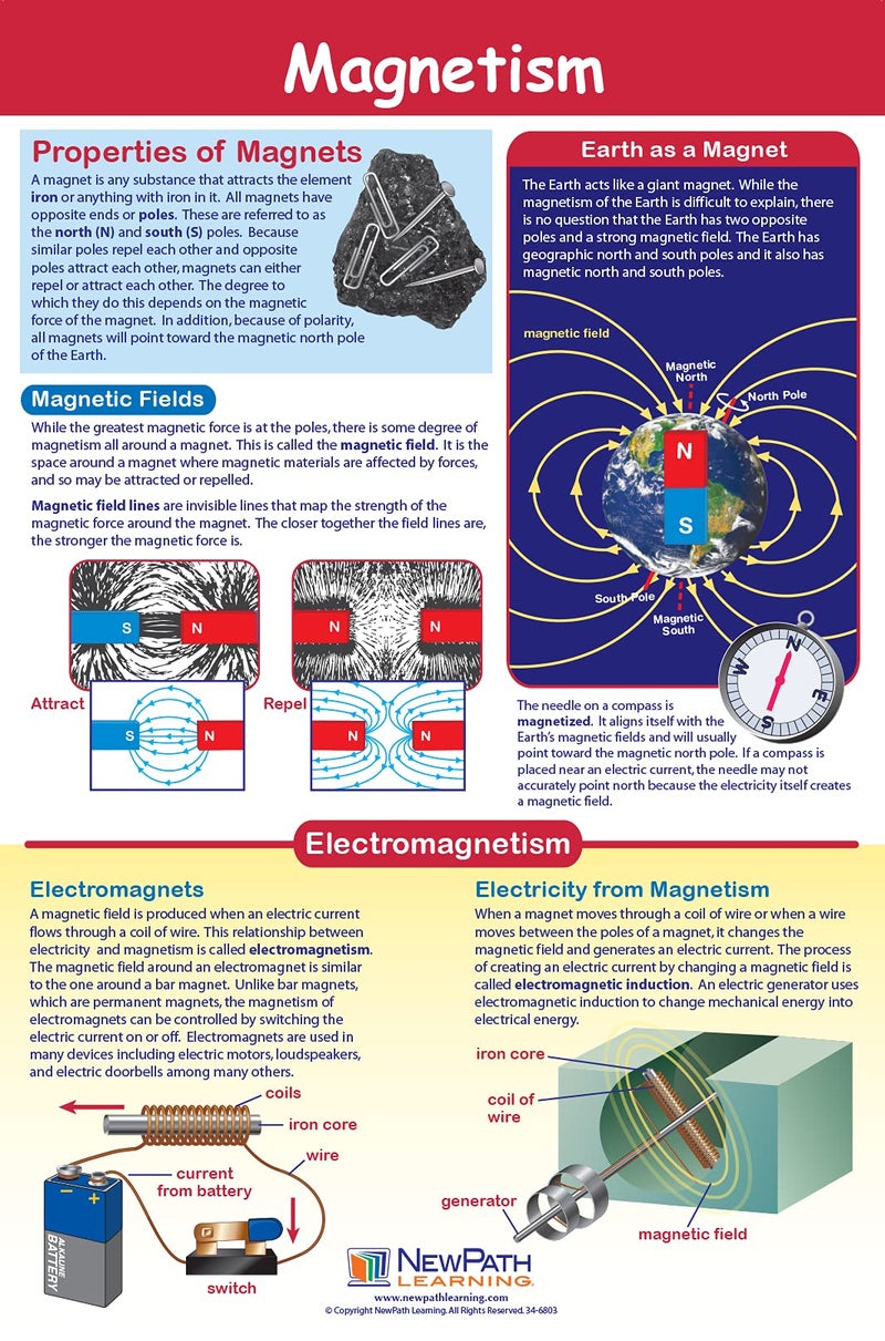 New Path Learning NewPath Physical Science Posters, Set/5 (Forces/Motion, Electricity, Magnetism, Sound, Light) - Laminated, Full-Color, 23" x 35" (34-9901) - Image 3